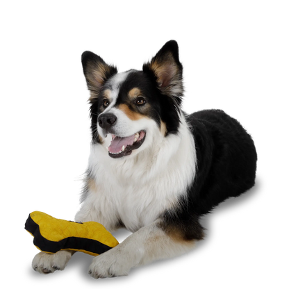 Hundespielzeug Knochen- nachhaltig, robust & interaktiv