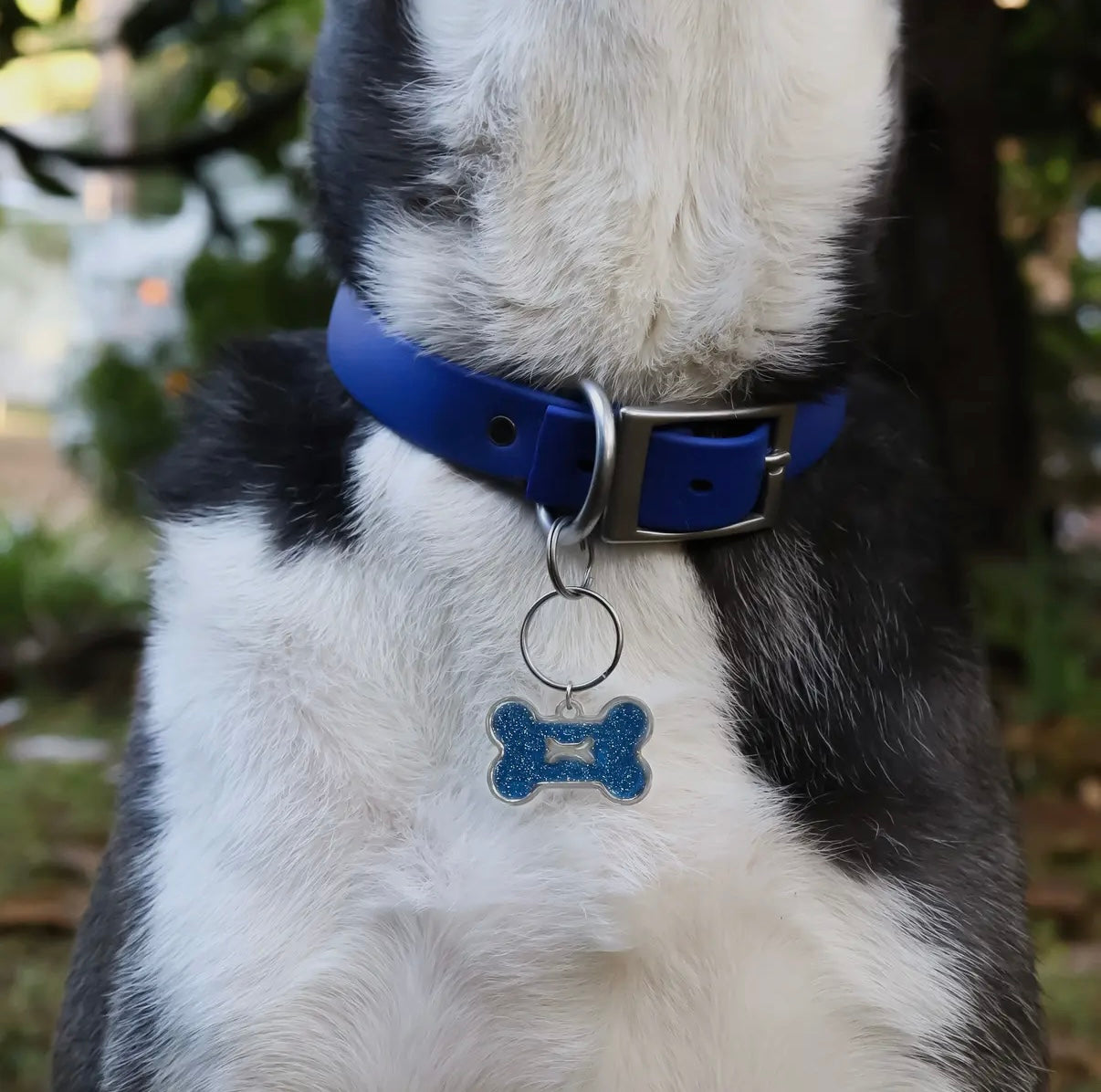 Hundeknochenanhänger aus Edelstahl, 18K Gold / glitzerndem Epoxidharz