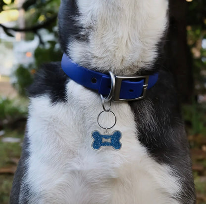 Hundeknochenanhänger aus Edelstahl, 18K Gold / glitzerndem Epoxidharz