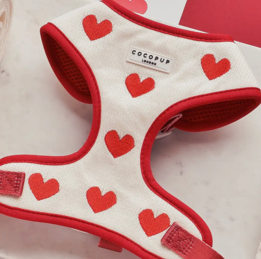 Geschirr-umarmungen gestricktes Herz