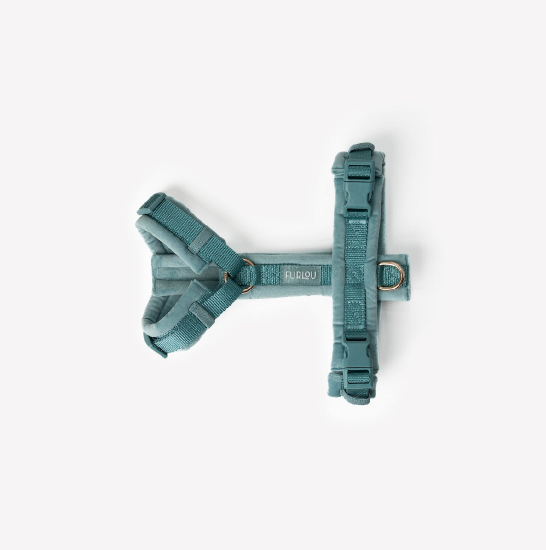 Blau - Samt Hundegeschirr