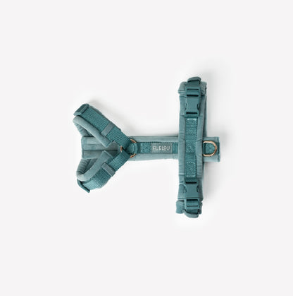 Blau - Samt Hundegeschirr