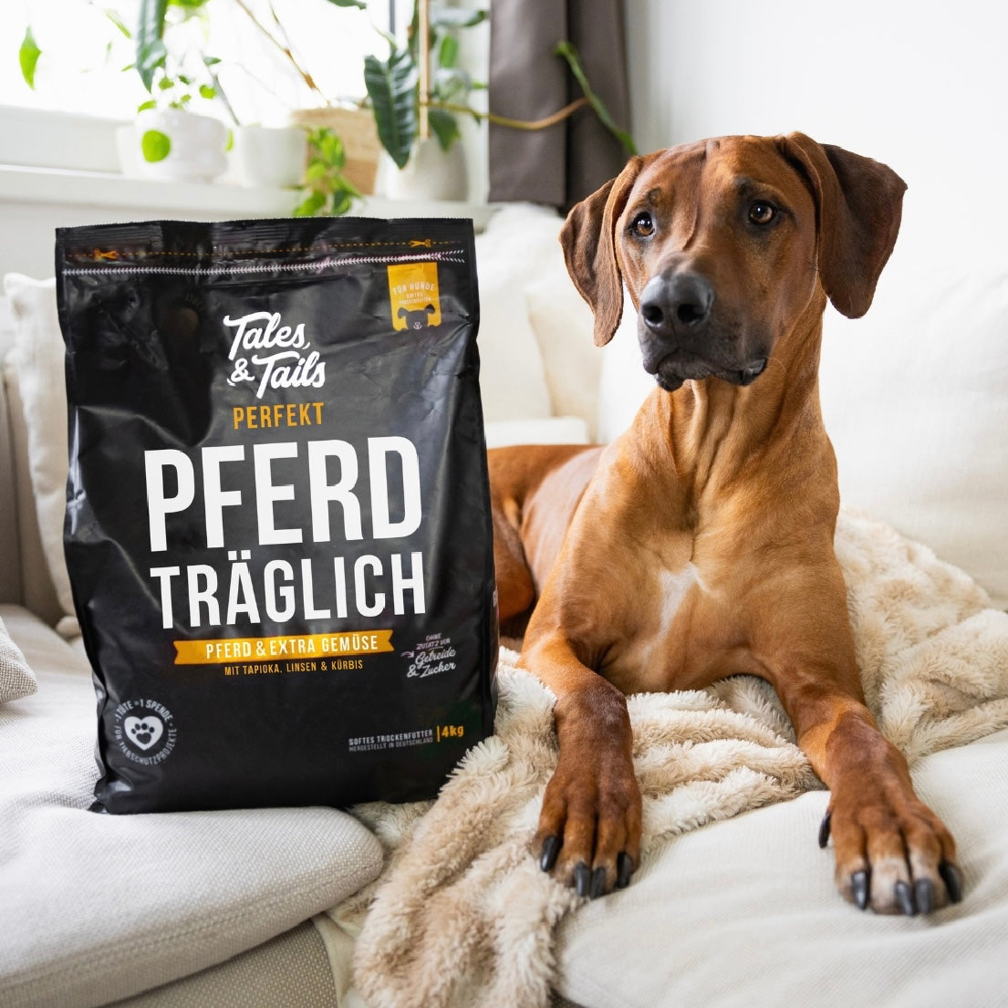 Tales & Tails Adult Soft Pferd