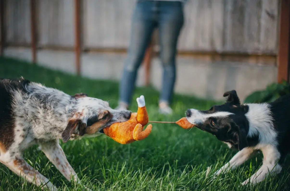 Hundespielzeug Brathähnchen