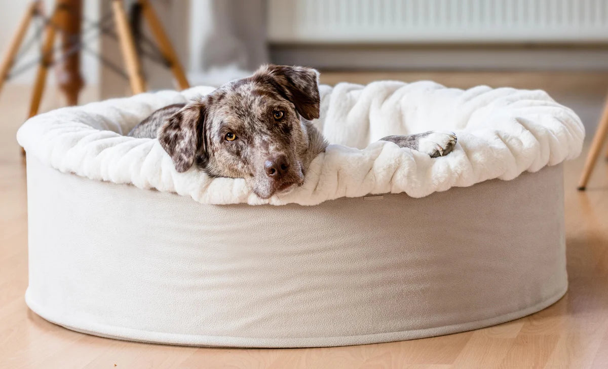 Hundebett Buddelnest - Creme
