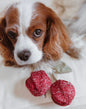 Hundespielzeug Cherry Pop