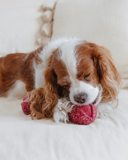 Hundespielzeug Cherry Pop